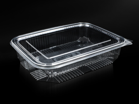 1250 ml Food Container With Hinged Lid