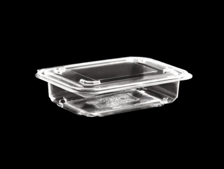 250 ml Food Container With Hinged Lid - Plain, Flat
